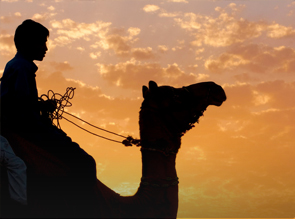 Paseo Camello en Mojacar