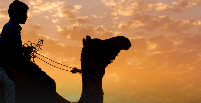 Paseo en Camello Mojacar